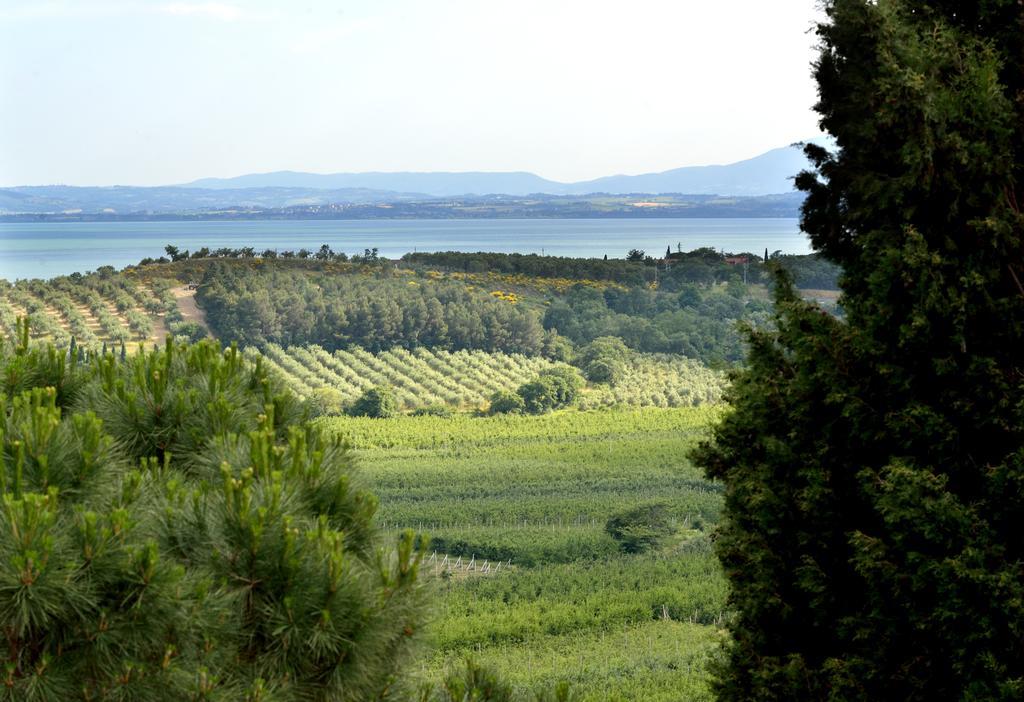 Agriturismo San Severo Пассіньяно-суль-Тразімено Екстер'єр фото